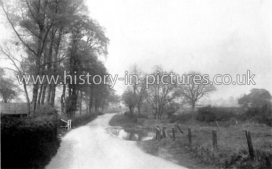 Tye Common Road, Billericay, Essex. c.1911